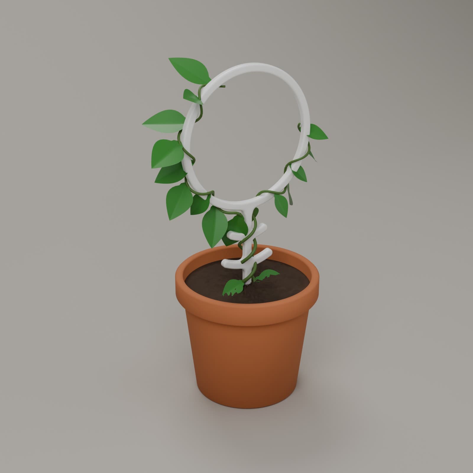 Plantensteun Ring (set van 2) in wit